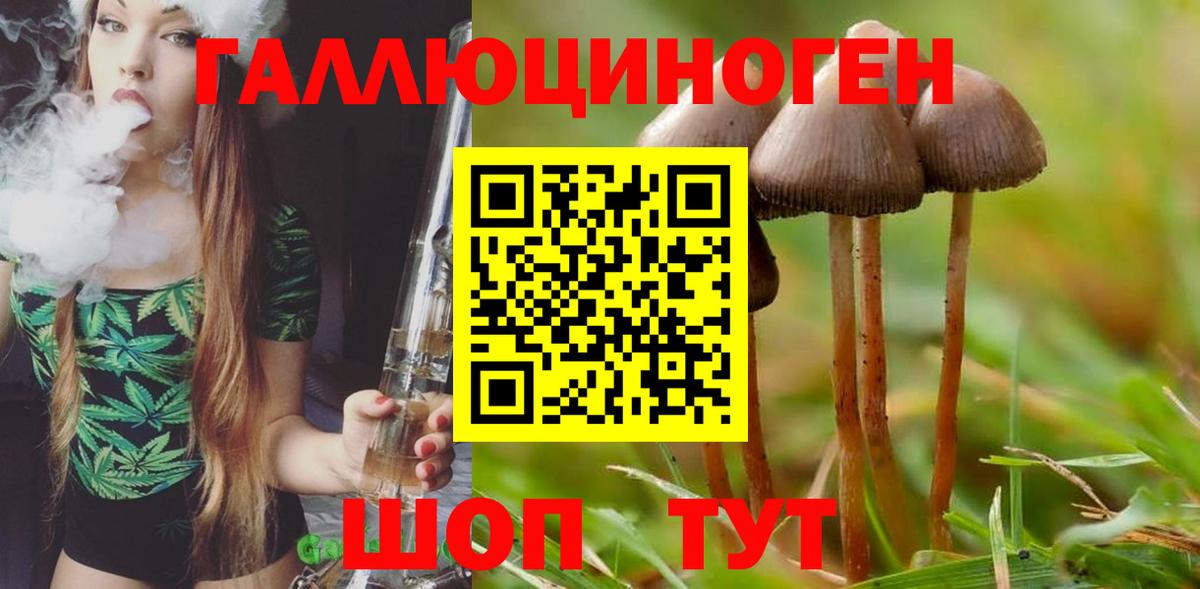 Псилоцибиновые грибы мицелий  Псилоцибиновые грибы Psilocybine cubensis  Спасск-Дальний  Вход с VPN 